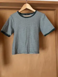 カスタネ　テレコボーダーリンガーTEE グリーン フリーサイズ