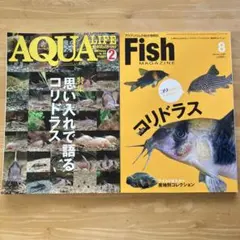 アクアマガジン　　37冊 2026年最新】アクアマガジンの人気アイテム - メルカリ