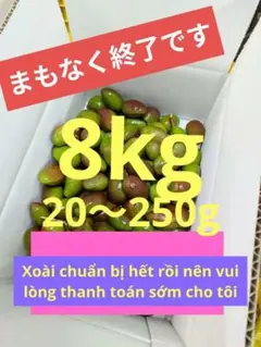 摘果マンゴー 6kg 20〜250g - メルカリ