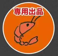 専用出品