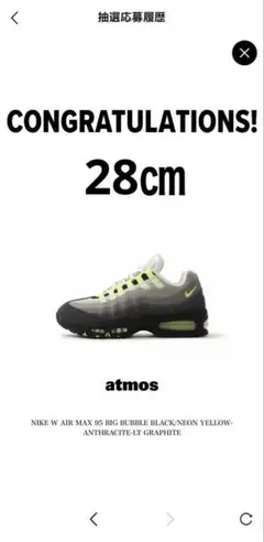 Air Max 95 イエローグラデ　ネオン　ウィメンズ 28.0