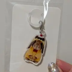 たれみみ稲荷チャーム