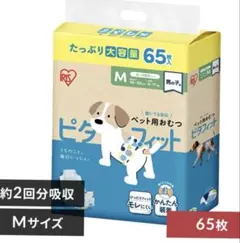 Item thumbnail for item b1dd3b5b-8d8e-4a5f-999d-7498938620d8