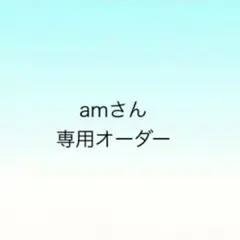 am様 リクエスト 2点 まとめ商品