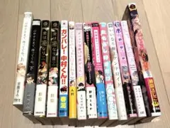 BL漫画 コミック 14冊まとめ売りボーイズラブ
