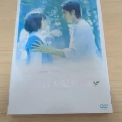 ただ,君を愛してる スタンダード・エディション('06 2006「ただ,君を愛…