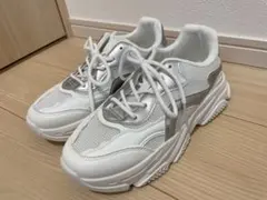 Item thumbnail for item 713ce762-e1ad-4684-9a84-d05ce35f8699