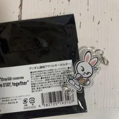 スキズ 展覧会 リノ アクリルキーホルダー - メルカリ