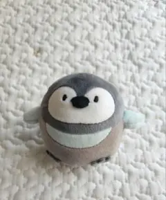 生産終了 サンレモン キジトラ ひよこ 白うさぎ メルカリのみ出品