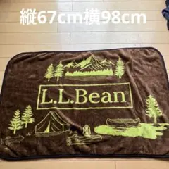 L.L.Bean 아웃도어 블랭킷