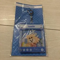 SKZ TOY WORLD TOYキーホルダー リービット Leebit