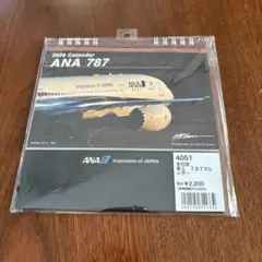 JAS 日本エアシステム Rainbow 777 ピンバッジ | Mercari