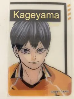 ハイキュー　ファンパーク　クリアカード　クリカ　影山飛雄