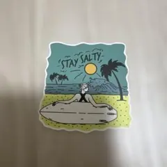 STAY SALTY ステッカー