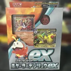 ホゲータ&デンリュウexスターターセット