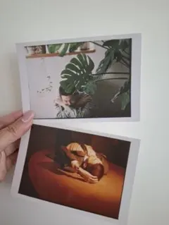 RM: Right People,Wrong Place 特典カード&フライヤー