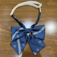 Item thumbnail for item e4e175d9-f67a-4eab-9b1a-1d6be85412f6