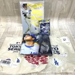 大谷翔平 ノベルティ クリアファイル JA岩手 北海道ファイターズ