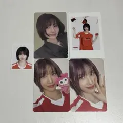 TWICE シーグリ モモ　韓国　日本