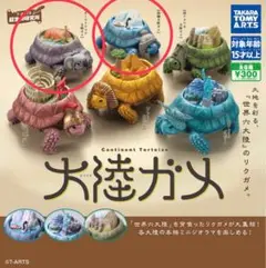 大陸ガメ（2種類）※バラ売り可！