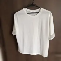 シアーTシャツ　ホワイト