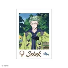 ランダムカードコレクション　セベク　ツイステ展