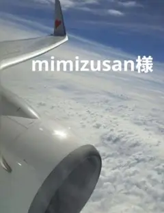 mimizusan様