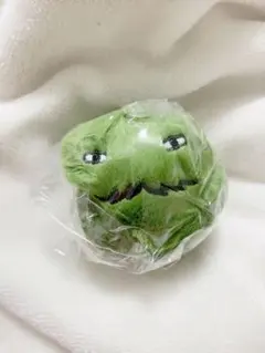 【モリゾーとキッコロ】モリゾーマスコット