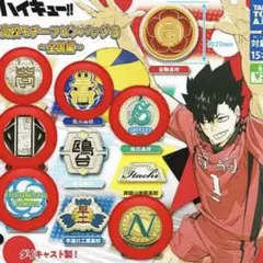 ハイキュー‼︎ 高校モチーフピンバッチ　稲荷崎、梟谷、その他