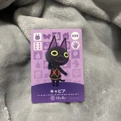 キャビア amiiboカード 034 あつ森