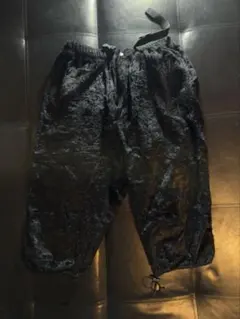 Needles 絲絨 長褲 科技感 時尚