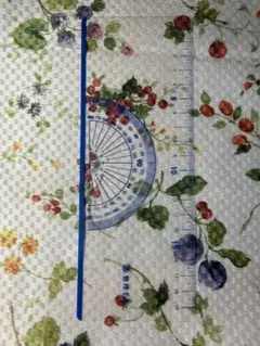 Item thumbnail for item 658a600d-33f9-469d-a60f-22be2da101f0