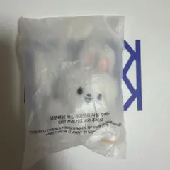 マイクロミニキーリング　skzoo リービット