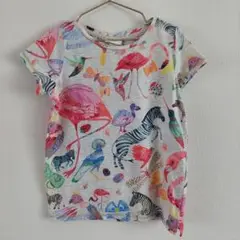 おすすめ♥H&M カラフル 動物柄 Tシャツ 140cm ガール トップス