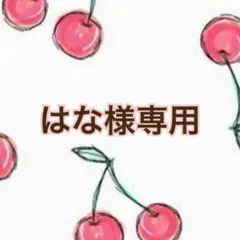はな様 リクエスト 8点 まとめ商品