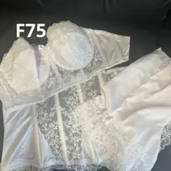 CESTMOI セモア ブライダルインナー3点セット F75