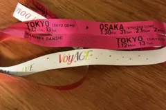 なにわ男子 1st DOME LIVE 'VoyAGE' ピンク　銀テープ　道枝