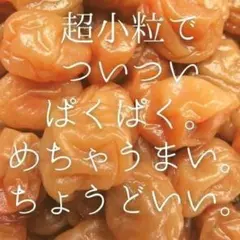 今の時期のお弁当に大活躍！ 紀州南高梅 小梅 はちみつ梅干し 減塩 送料無料のサムネイル