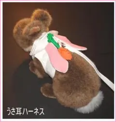 Item thumbnail for item be6cc1c0-559f-4e3c-b05f-83e927dcf453