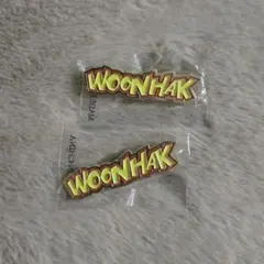 BOYNEXTDOOR ウナク カプセルトイ ピンバッジ