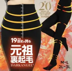 タイツ　裏起毛タイツ　あったか　Darkangel