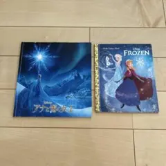 アナ雪　洋書&パンフレット　2冊セット　ディズニー