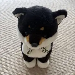 豆柴 ぬいぐるみ 黒