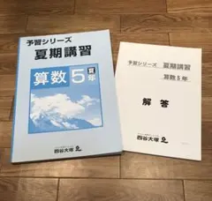 四谷大塚 予習シリーズ5年 国算理社　上下　中古　2023年版 四谷大塚 予習シリーズ5年 国算理社 上下 中古 2023年版 四谷大塚