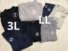 Item thumbnail for item 5e897312-950f-4293-a027-cce0d48c6579