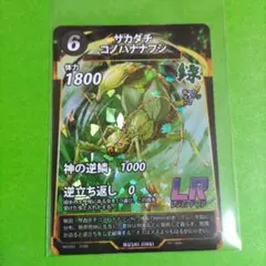 2026年最新】サカダチコノハナナフシの人気アイテム - メルカリ