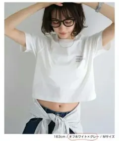 ANME　ショート丈ロゴ刺繍ワンポイントミニTシャツ　タグ付きのサムネイル