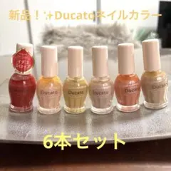 お値下げしました✨新品！✨未使用✨Ducato ネイルカラー 6本セット✨のサムネイル