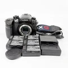 2026年最新】dmc-gh4の人気アイテム - メルカリ