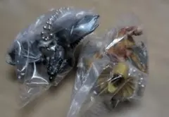 【新品・未開封】モンスターハンター リオレウス希少種 イャンクック　2点セット